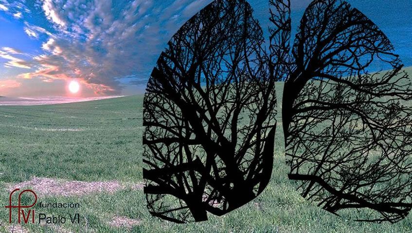 Bioética, Ciencia y Tecnología en la Fundación Pablo VI