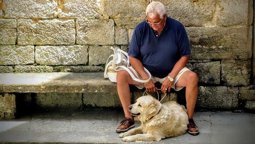 El nombre del perro