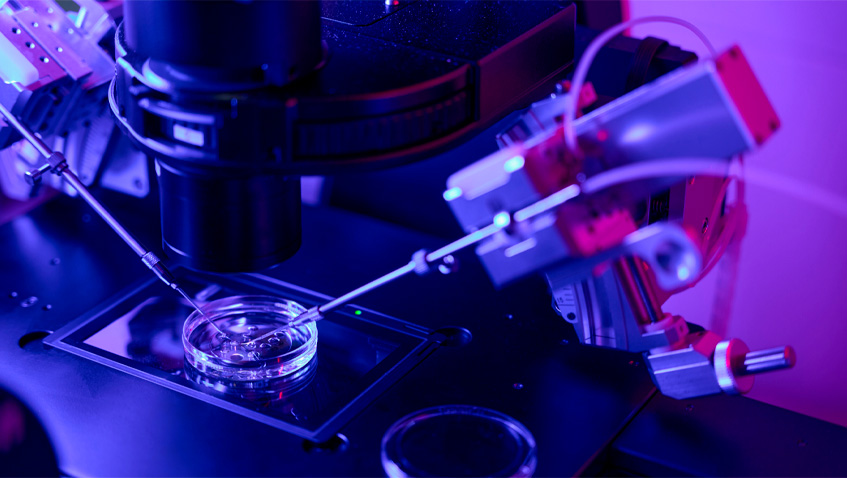 Revitalizando la eugenesia: aplicaciones genéticamente indefendibles de la genómica