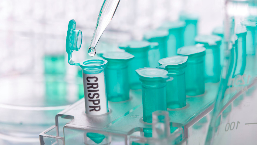 Sobre la propuesta de editar múltiples genes de forma heredable en embriones humanos