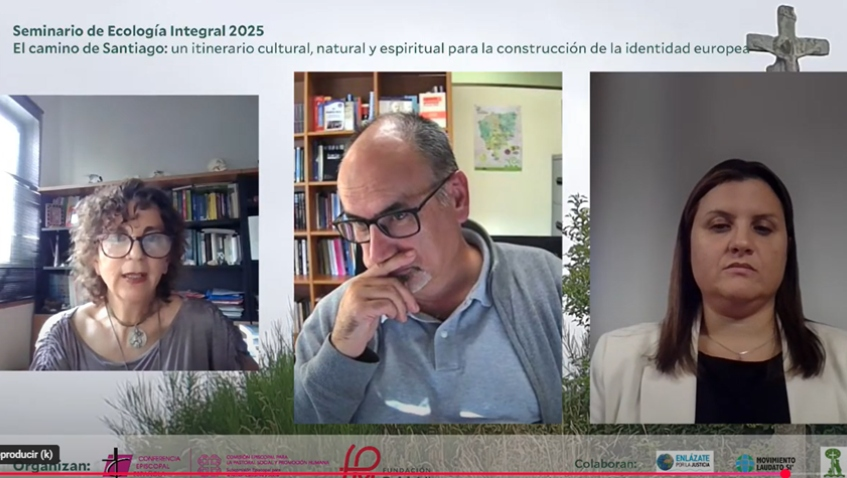 El Camino de Santiago como proyecto económico y ecosocial